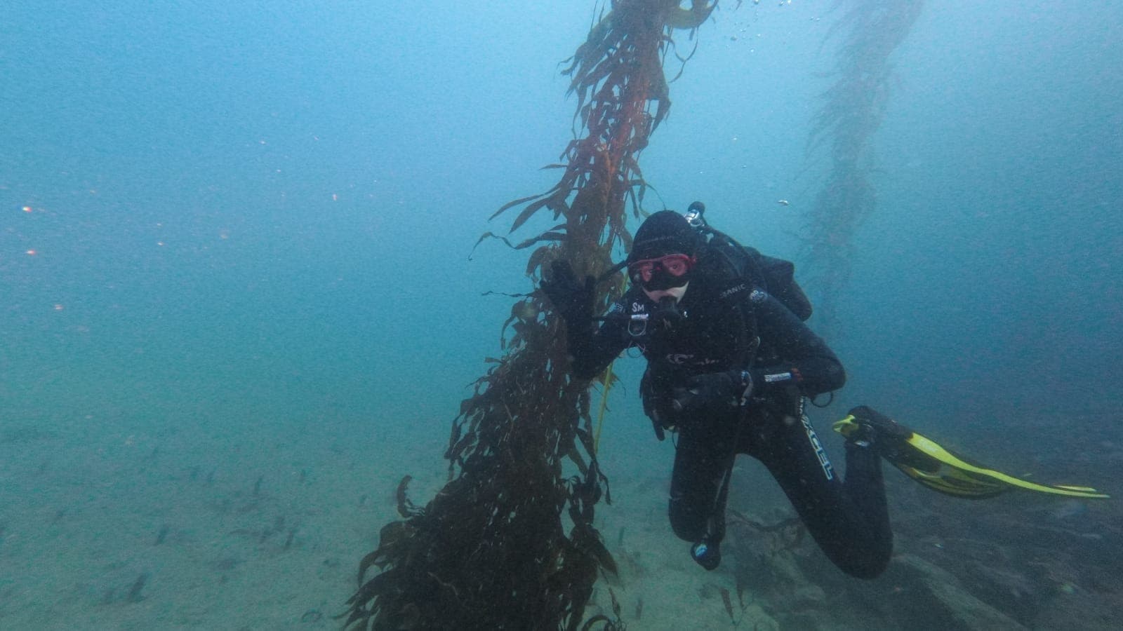 Scuba diving photo 2